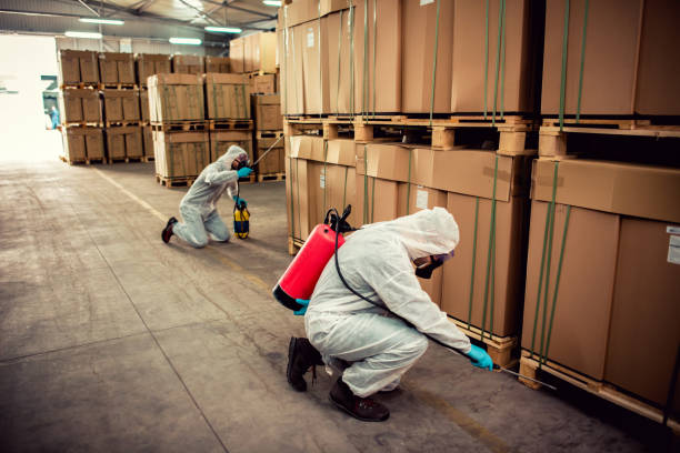 Best Mosquito Control Services  in Talent, OR