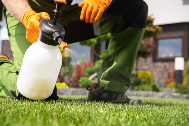 Best Local Pest Control Services  in Talent, OR