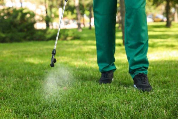 Best Cockroach Control Services  in Talent, OR