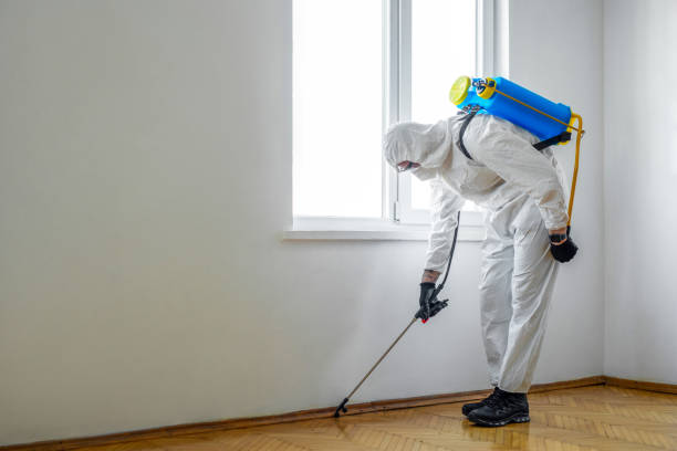 Best Flea Control Services  in Talent, OR