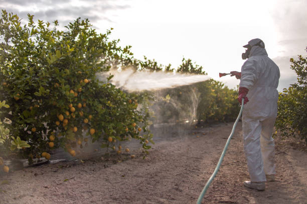 Reliable Talent, OR Pest Control Solutions