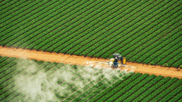Best Termite Control Services  in Talent, OR