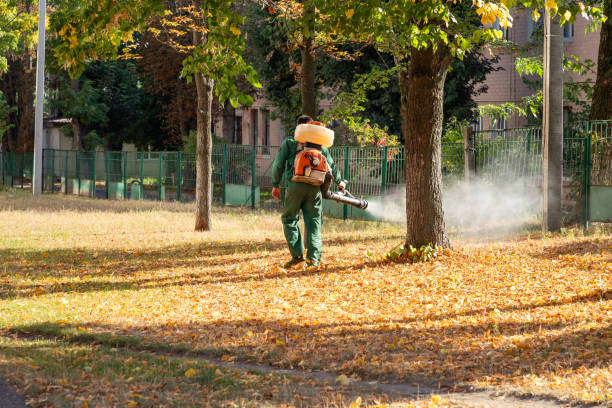 Best Wasp Removal Services  in Talent, OR